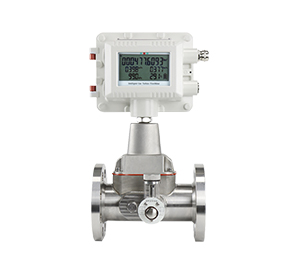Gas turbine flow meter