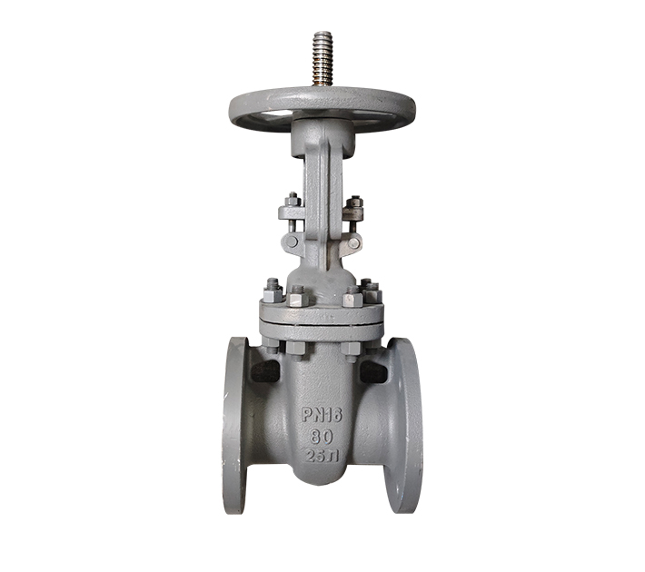 Gost gate valve