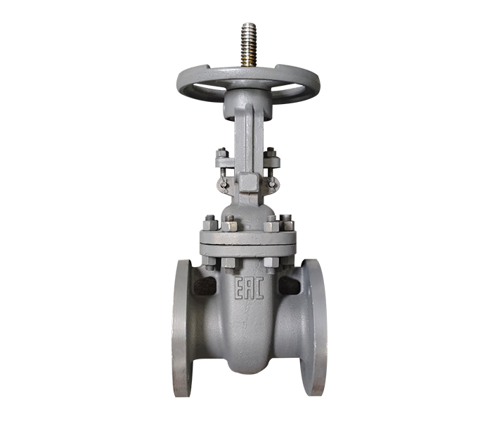 Gost gate valve