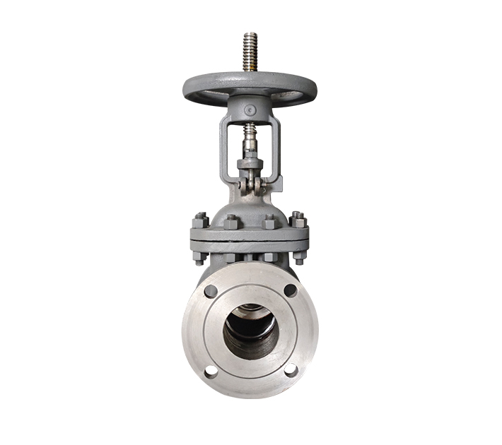 Gost gate valve