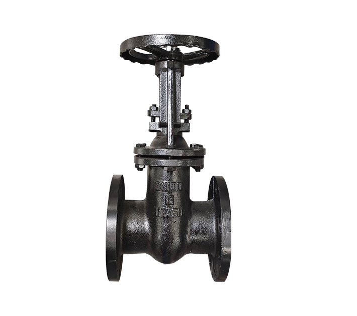 Gost gate valve