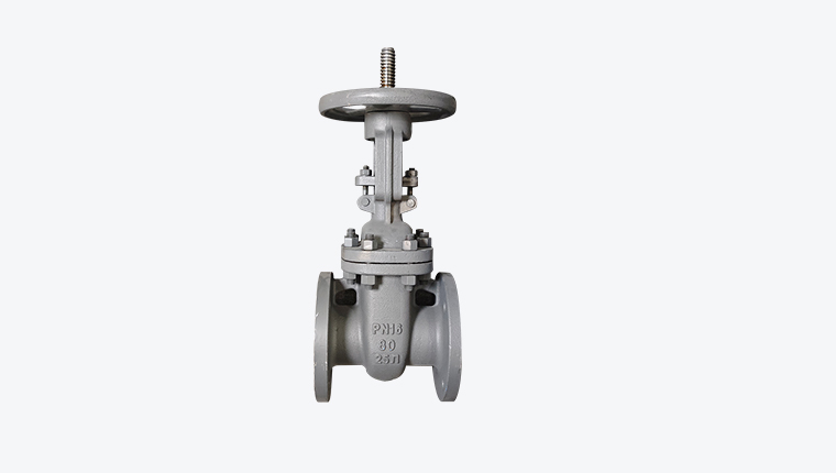Gost gate valve