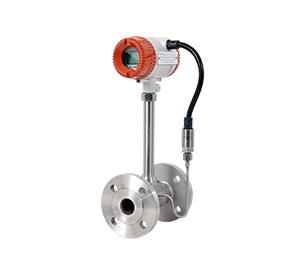 Vortex Flow Meter