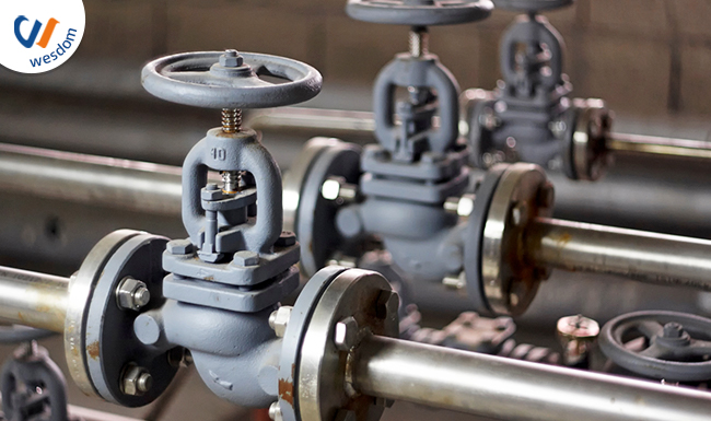 globe valve