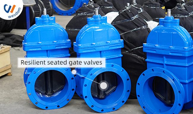 soft seal gate valve
