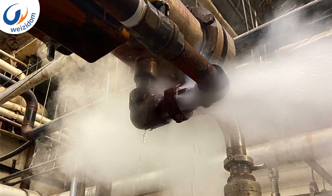 steam pipe valves