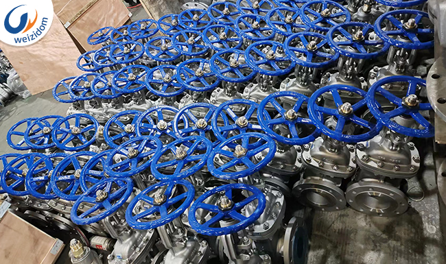 Malaysia PROJECT CASE API valves