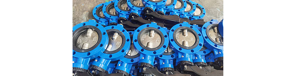 Soft-Seated Butterfly Valve