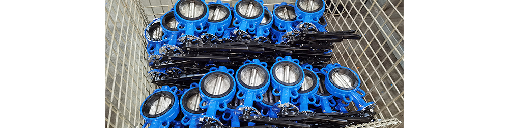 Soft-Seated Butterfly Valve1