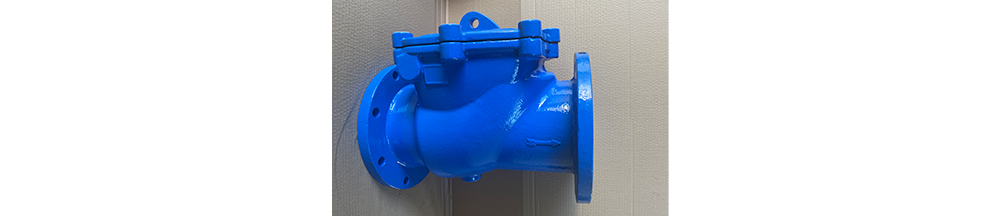 Swing Check Valve