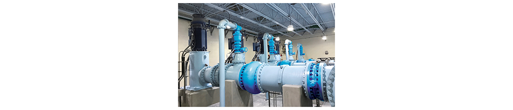 a Check Valve and a Double Check Valve1
