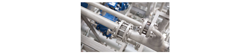 a Check Valve and a Double Check Valve1
