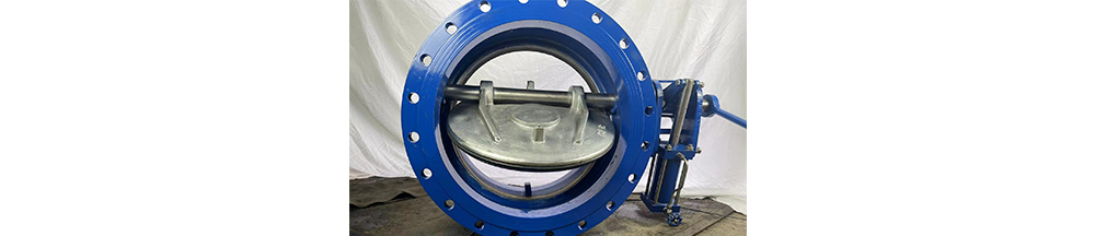 butterfly check valve