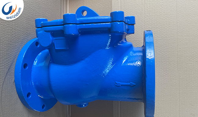 weizidom check valve