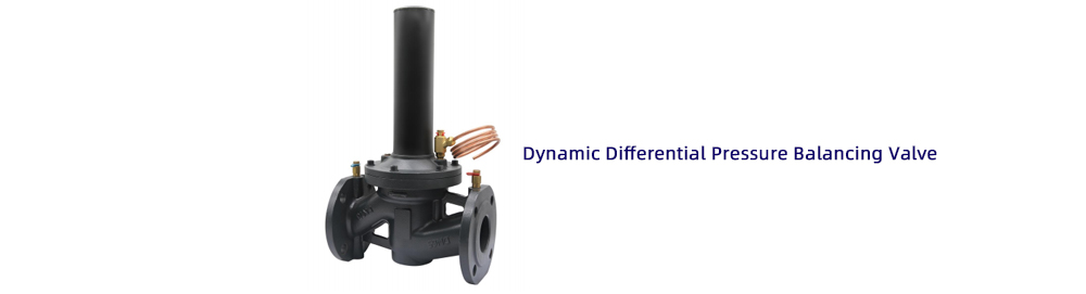 Dynamic Differential Pressure Balancing Valve1