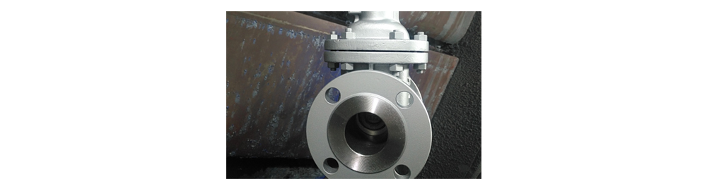 Hard Sealing Gate Valve