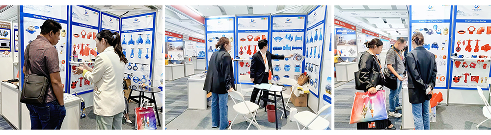 WEIZIDOM's Successful Showcase at the Philippines Exhibition
