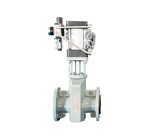 Pneumatic Pinch Valve