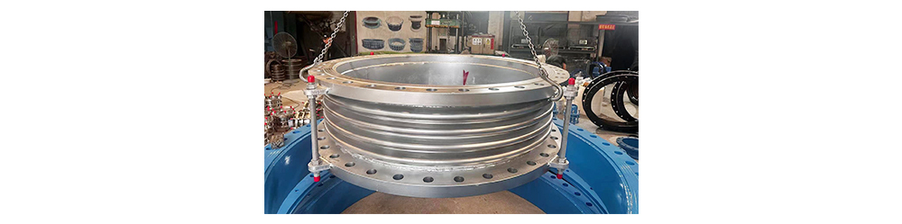Bellows Expansion Joint