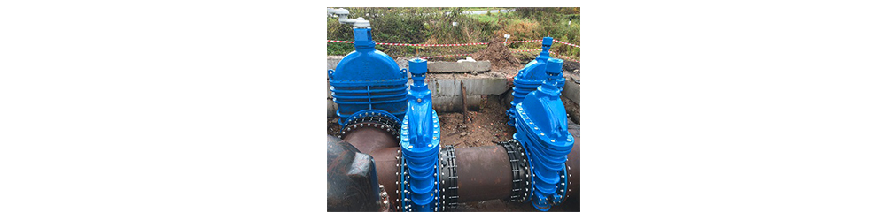 Soft Sealed Gate Valve Prone to Leakag