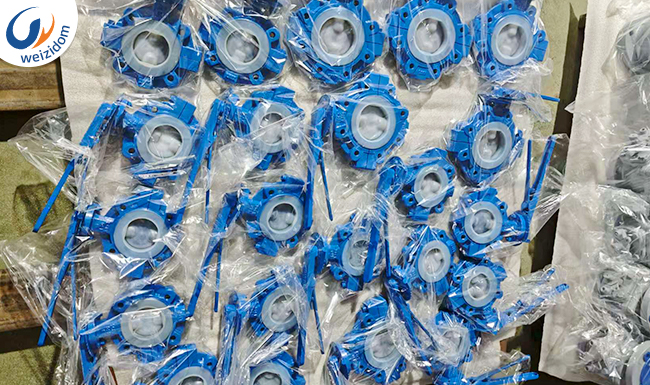 Butterfly Valve Function and How is it Used in Plumbing