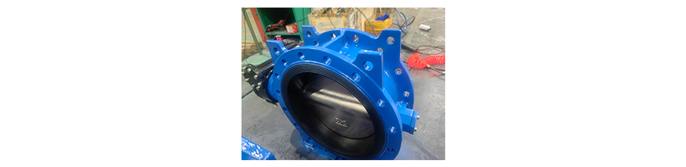 Butterfly Valve in Fire Fighting System