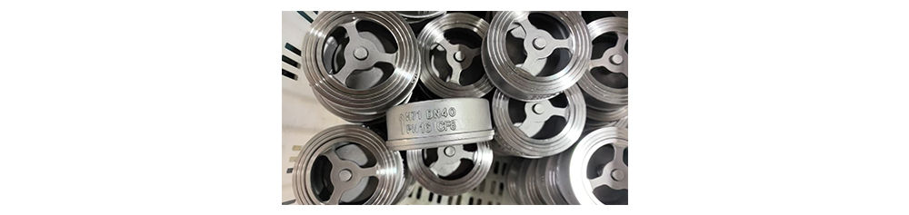 Check Valve vs Double Check Valve