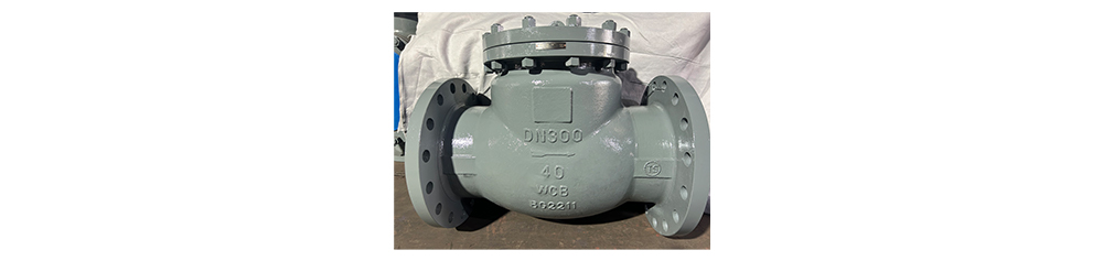 steam pipeline check valve