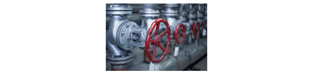 steam pipeline globe valve