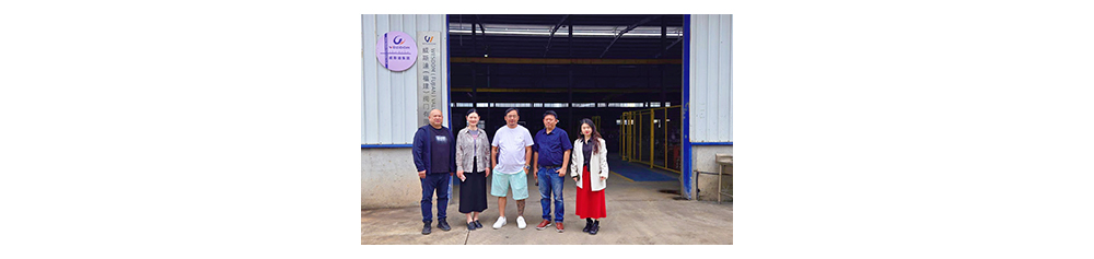 INDONESIA PAPER MILL PROJECT