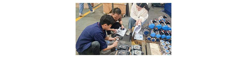 INDONESIA PAPER MILL PROJECT