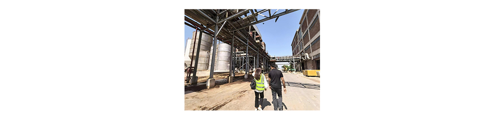 PAKISTAN PAPER MILL PROJECT