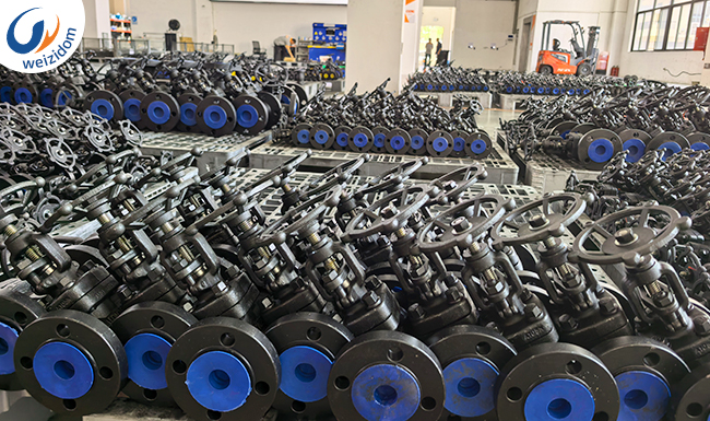 What products did WEIZIDOM supply for the Malaysia Oil Project