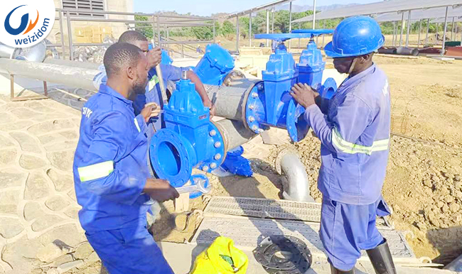 MALAWI IRRIGATION PROJECT