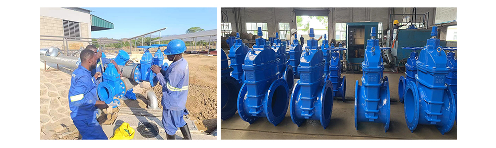 MALAWI IRRIGATION PROJECT