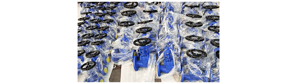 Bellows Seal Globe Valve
