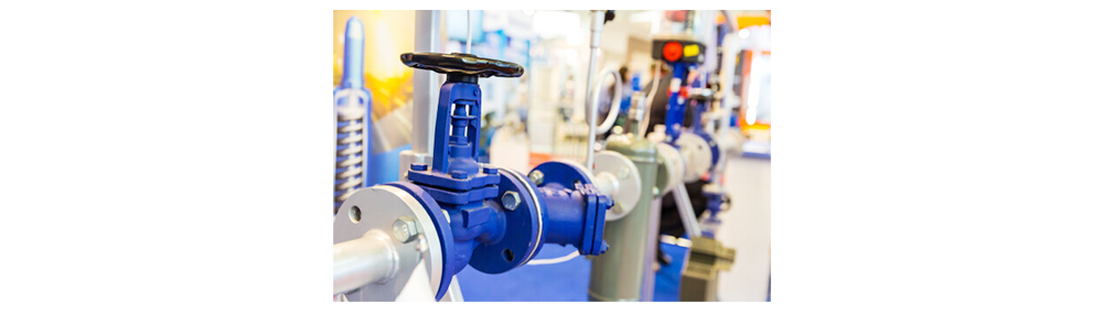 Bellows Seal Globe Valve