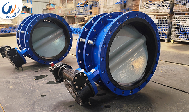 Expansion Butterfly Valve