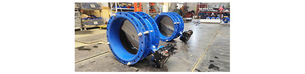 Expansion Butterfly Valve2