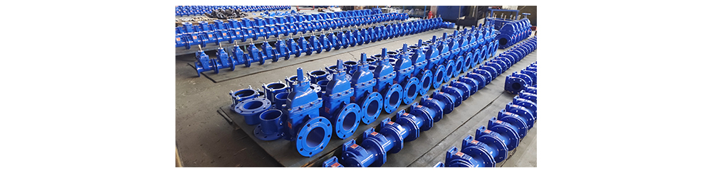 gate Valve WEIZIDOM