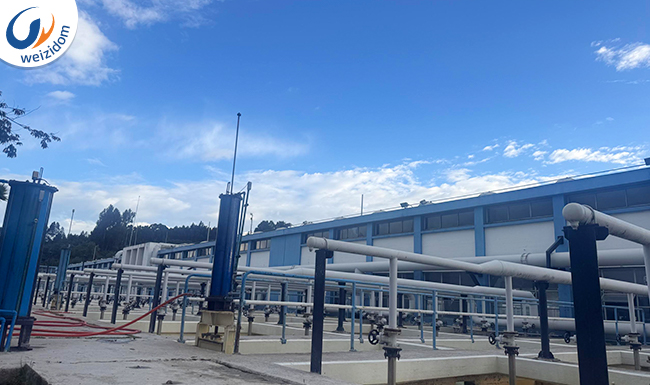 Unveiling the Functionality of Essential Products in Water Systems