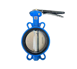 Multi-standard wafer butterfly valve