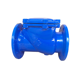 Swing check valve