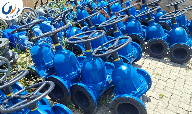Zero Fugitive Emissions & Corrosive Media Control-Diaphragm Valves3