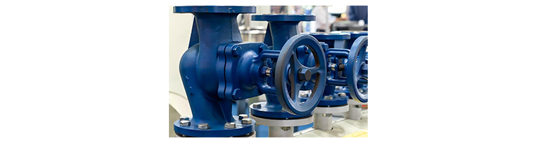 Stop Globe Valve Failures Before They Stop Your Process1