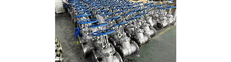 Stainless Steel gate valve