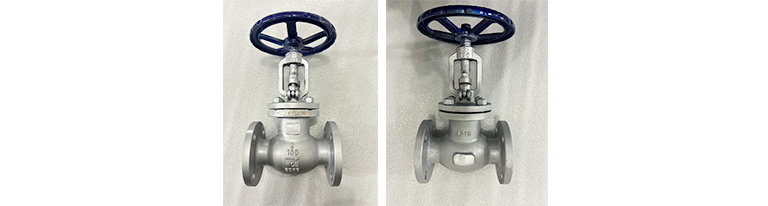 Stainless Steel globe valve
